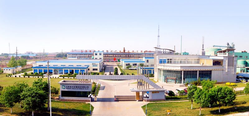 山东龙力生物科技股份有限公司