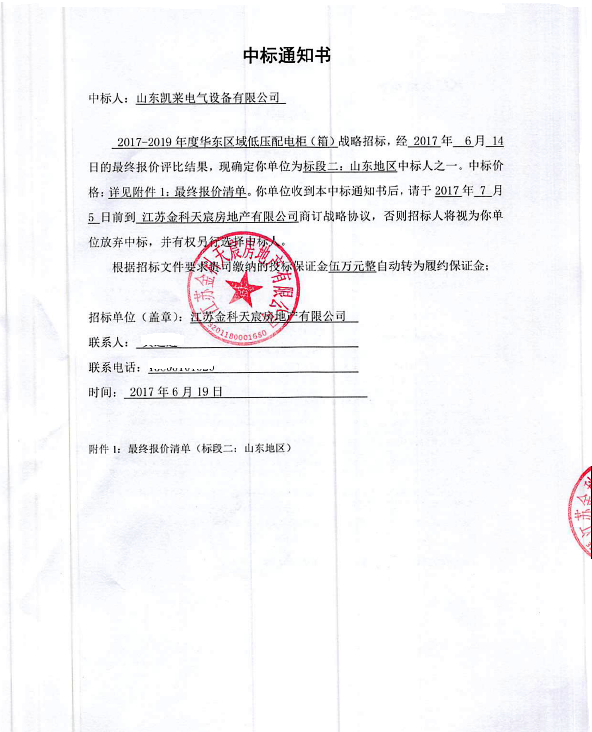 山东巅峰国际电气设备有限公司中标喜讯